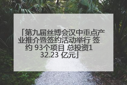 第九届丝博会汉中重点产业推介暨签约活动举行 签约 93个项目 总投资132.23 亿元