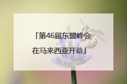 第46届东盟峰会在马来西亚开幕