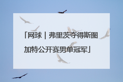 网球｜弗里茨夺得斯图加特公开赛男单冠军