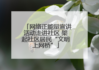 网络正能量宣讲活动走进社区 架起社区居民“文明上网桥”