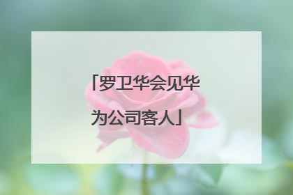 罗卫华会见华为公司客人