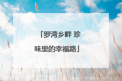 罗湾乡畔 珍味里的幸福路