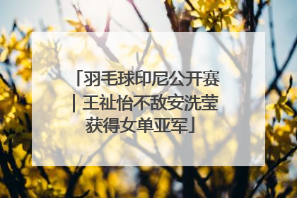 羽毛球印尼公开赛｜王祉怡不敌安洗莹 获得女单亚军
