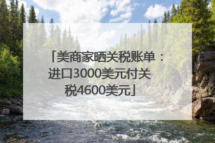 美商家晒关税账单：进口3000美元付关税4600美元