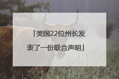 美国22位州长发表了一份联合声明