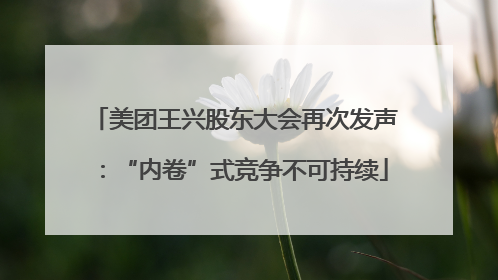 美团王兴股东大会再次发声：“内卷”式竞争不可持续
