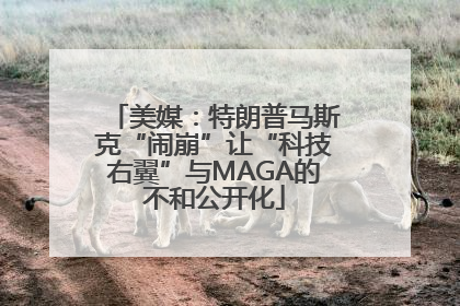 美媒：特朗普马斯克“闹崩”让“科技右翼”与MAGA的不和公开化