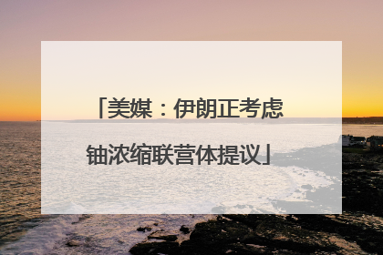 美媒：伊朗正考虑铀浓缩联营体提议