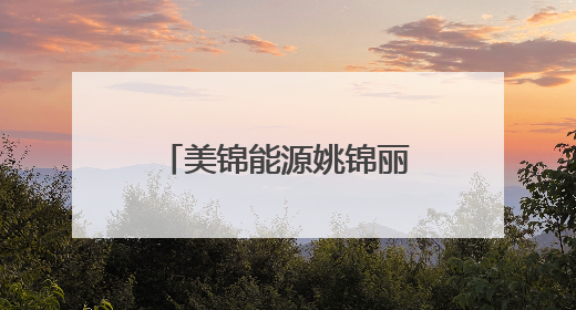 美锦能源姚锦丽：深耕氢能蓝海，领航绿色未来