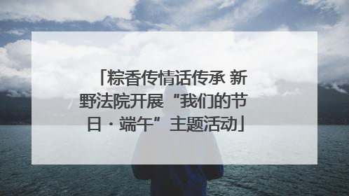 粽香传情话传承 新野法院开展“我们的节日・端午”主题活动