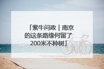 紫牛问政｜南京的这条路缘何留了200米不种树