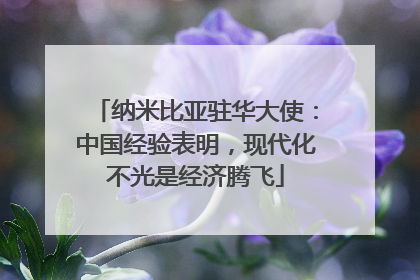 纳米比亚驻华大使：中国经验表明，现代化不光是经济腾飞