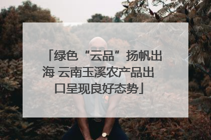 绿色“云品”扬帆出海 云南玉溪农产品出口呈现良好态势