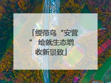 绶带鸟“安营” 绘就生态增收新景致