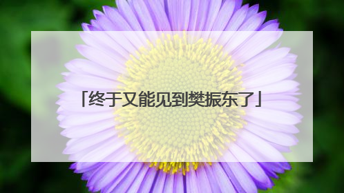 终于又能见到樊振东了