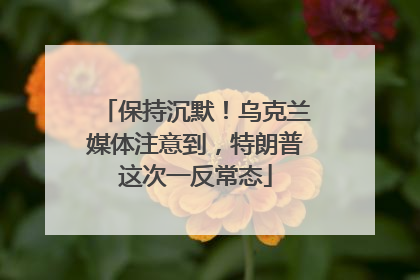 保持沉默！乌克兰媒体注意到，特朗普这次一反常态