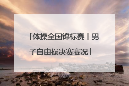 体操全国锦标赛丨男子自由操决赛赛况