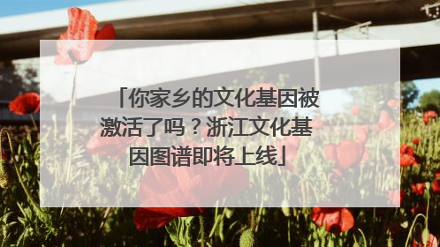 你家乡的文化基因被激活了吗？浙江文化基因图谱即将上线