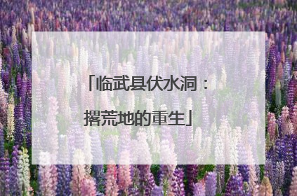 临武县伏水洞：撂荒地的重生