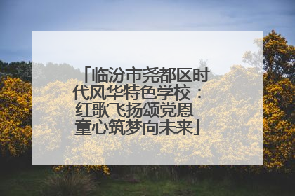 临汾市尧都区时代风华特色学校：红歌飞扬颂党恩 童心筑梦向未来