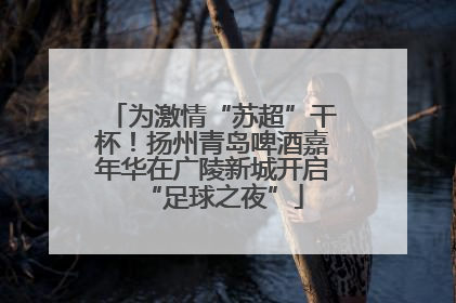 为激情“苏超”干杯！扬州青岛啤酒嘉年华在广陵新城开启“足球之夜”