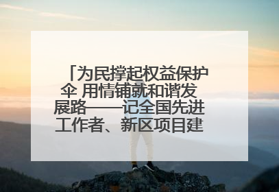 为民撑起权益保护伞 用情铺就和谐发展路——记全国先进工作者、新区项目建设中心干部卢小勇