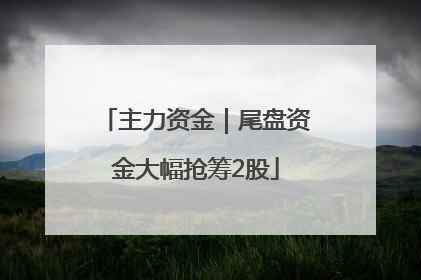 主力资金｜尾盘资金大幅抢筹2股