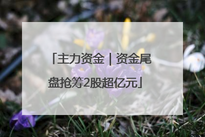 主力资金｜资金尾盘抢筹2股超亿元