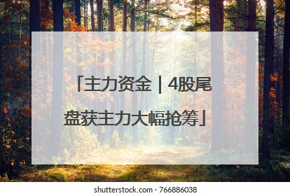 主力资金｜4股尾盘获主力大幅抢筹