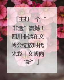 主打一个“非遗”震撼！四川非遗在文博会绽放时代光彩｜文博向“新”
