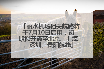 丽水机场相关航路将于7月10日启用，初期拟开通至北京、上海、深圳、贵阳航线