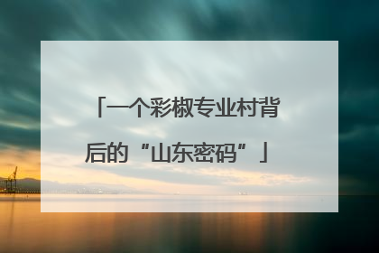 一个彩椒专业村背后的“山东密码”
