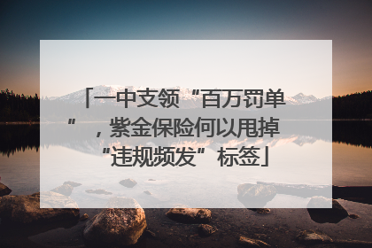 一中支领“百万罚单”，紫金保险何以甩掉“违规频发”标签