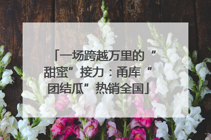 一场跨越万里的“甜蜜”接力：甬库“团结瓜”热销全国