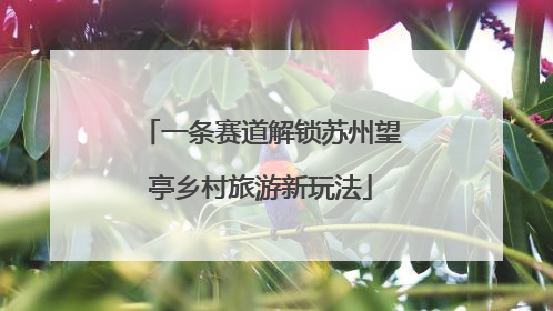 一条赛道解锁苏州望亭乡村旅游新玩法