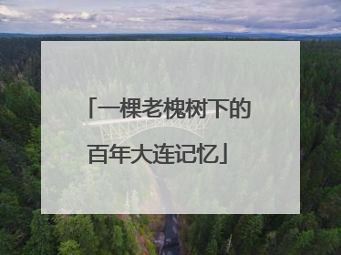 一棵老槐树下的百年大连记忆