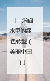 一滴卤水里的绿色转型（美丽中国）