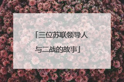 三位苏联领导人与二战的故事