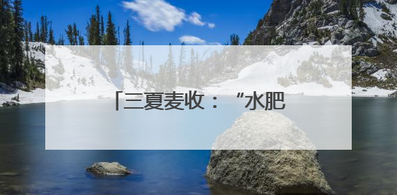 三夏麦收：“水肥还田”助力河南农民“减投增产”