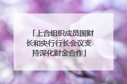 上合组织成员国财长和央行行长会议支持深化财金合作
