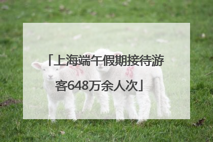 上海端午假期接待游客648万余人次