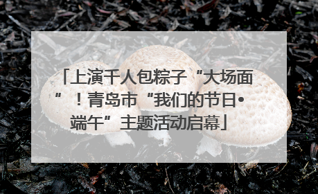 上演千人包粽子“大场面”！青岛市“我们的节日•端午”主题活动启幕