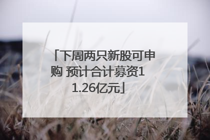 下周两只新股可申购 预计合计募资11.26亿元