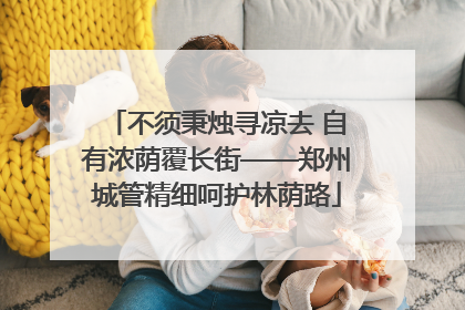 不须秉烛寻凉去 自有浓荫覆长街——郑州城管精细呵护林荫路