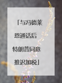 与冯德莱恩通话后 特朗普同意推迟加税