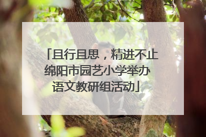 且行且思，精进不止 绵阳市园艺小学举办语文教研组活动