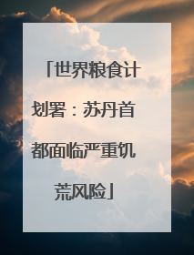 世界粮食计划署：苏丹首都面临严重饥荒风险