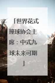 世界花式撞球协会主席：中式九球未来可期