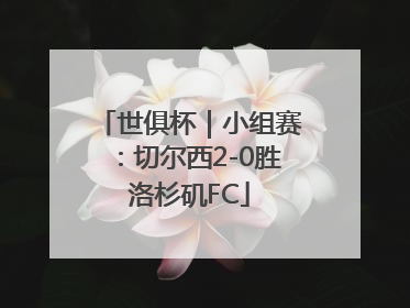 世俱杯｜小组赛：切尔西2-0胜洛杉矶FC
