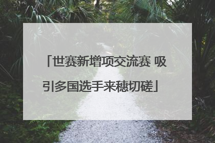 世赛新增项交流赛 吸引多国选手来穗切磋
